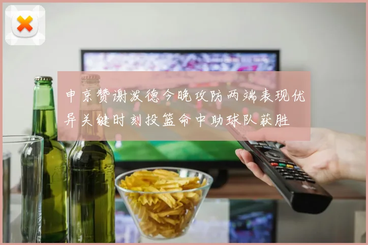 申京赞谢泼德今晚攻防两端表现优异关键时刻投篮命中助球队获胜