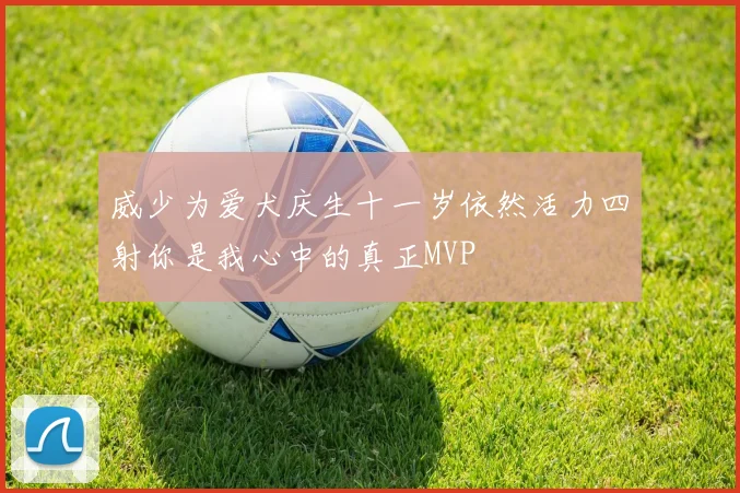 威少为爱犬庆生十一岁依然活力四射你是我心中的真正MVP