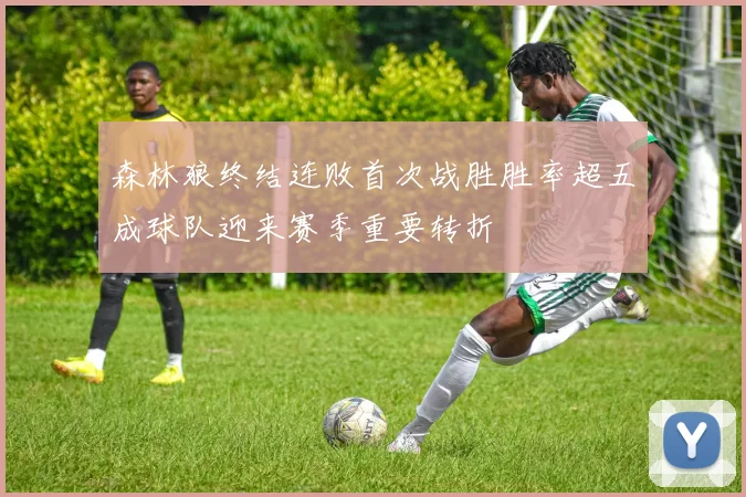 森林狼终结连败首次战胜胜率超五成球队迎来赛季重要转折